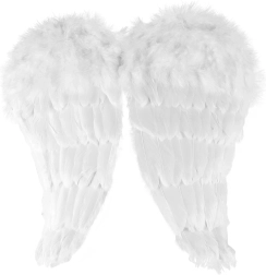 Alas de ángel con plumas