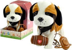 San Bernardo interactivo con correa y caseta