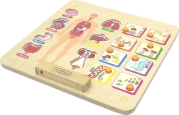 Tablero educativo del cuerpo humano Masterkidz Montessori