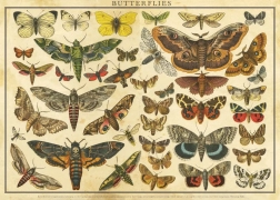 Puzzle Vintage Nature: mariposas 2000 piezas