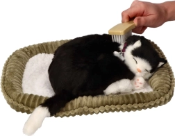 Adóptame gatita blanco y negro que respira