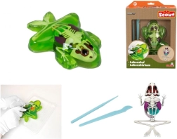 Descubre la disección de una rana: kit educativo con slime