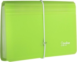 Organizador para documentos con goma transparente-verde