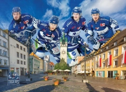 Puzzle STRAUBING TIGERS de 1000 piezas de EUROGRAPHICS