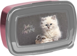 Paso caja para tentempiés con gatito 750 ml