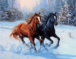Pintura por números: caballos galopando en la nieve, 40 × 50 cm