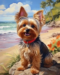 Norimpex Pintura por números Yorkshire en la playa 40 × 50 cm