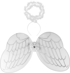Alas de ángel con halo Rappa