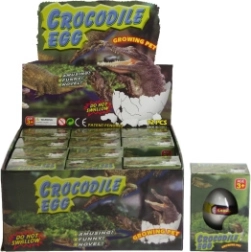 Huevo con cocodrilo que crece en el agua