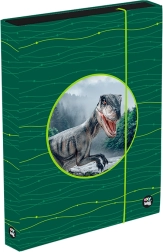 Caja para cuadernos A4 Jumbo OXY Sherpy verde
