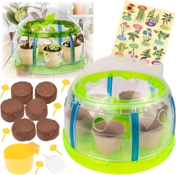 Set bio del pequeño jardinero: mini invernadero con herramientas y semillas para cultivar plantas