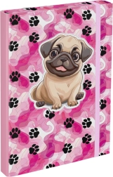 Carpeta para cuadernos escolares La Patrulla Canina A4