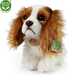 Perro de peluche Cavalier King Charles 25 cm