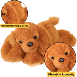 Perro de peluche Cocker Spaniel marrón con patas lastradas 30 cm