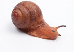 Caracol de goma 13 cm