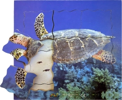 Puzzle de madera por capas: tortuga - 19 piezas