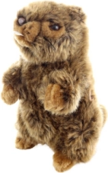 Ardilla de peluche con sonido Eco-Friendly