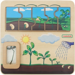 Masterkidz tablero educativo de madera – ciclo de vida del frijol
