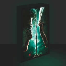 Cuadro LED Iluminado 30x40, Harry Potter - Harry vs. Voldemort