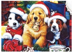 Norimpex pintura con diamantes Cachorros en Navidad 30 × 40 cm