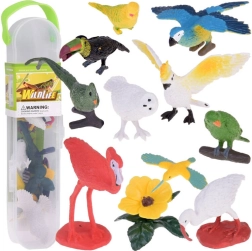 Set de figuras coloridas de aves exóticas, 10 uds