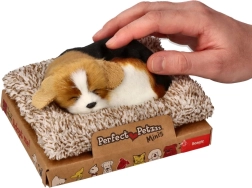 Beagle que ladra en su camita