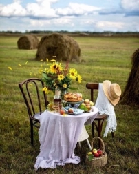 Pintura de diamantes Desayuno en el campo 30 × 40 cm