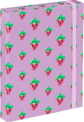 BAAGL carpetas para cuadernos escolares A5 Lavender