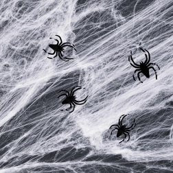 Telaraña blanca de Halloween con arañas