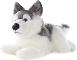 Husky de peluche 34 cm
