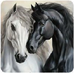 Mosaico de diamantes - Dos caballos