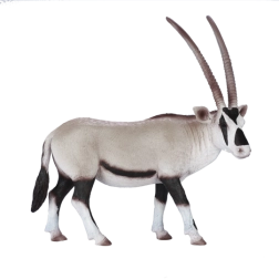 Mojo oryx árabe