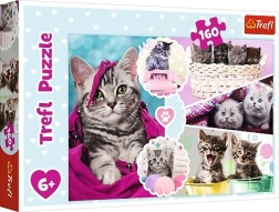Puzzle Trefl de adorables gatitos, 160 piezas
