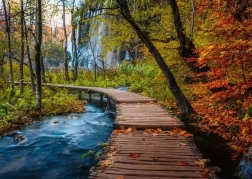 Puzzle RAVENSBURGER Bosque misterioso 1000 piezas