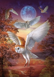 Puzzle Búhos nocturnos 1000 piezas ART PUZZLE