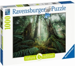 Puzzle de 1000 piezas Bosques Ravensburger