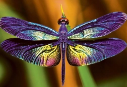 Puzzle Naturaleza Colorida: Libélula 250 piezas