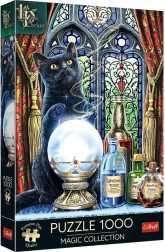 Puzzle Trefl Premium Plus Magic Collection: aprendiz de mago, 1000 piezas