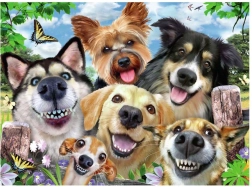 Puzzle Selfie de perros 500 piezas Ravensburger