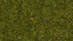 Hierba estática Pradera 4 mm