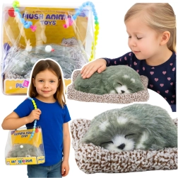 Husky dormido en una almohada con pelaje suave y sonidos, bolsa de transporte