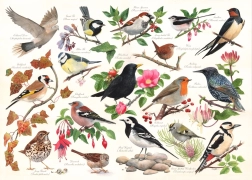 Puzzle Pájaros en el jardín - 1000 piezas