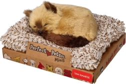 Perfect Petzzz gatito siamés pequeño