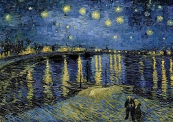 Puzzle serie Museum: noche estrellada II 1000 piezas