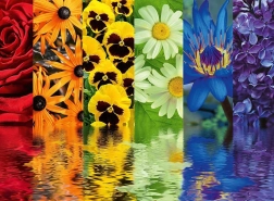 Puzzle Ravensburger Patrones florales 500 piezas