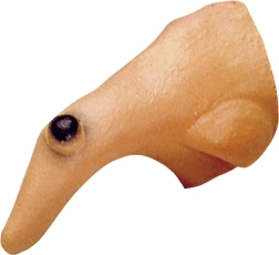 nariz de bruja con verruga