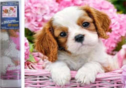 Pintura con diamantes: cachorro en una cesta rosa 30 × 40 cm