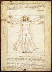 EUROGRAPHICS Rompecabezas Hombre de Vitruvio - proporciones del cuerpo humano 1000 piezas