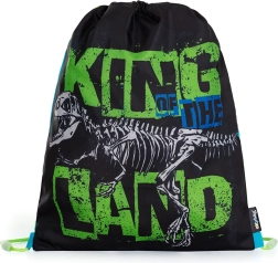 Bolsa para educación física Premium dinosaurio