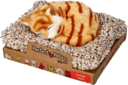 Perfect Petzzz gatito atigrado rojizo